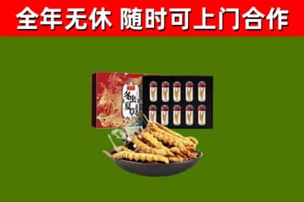 北京回收冬虫夏草价格